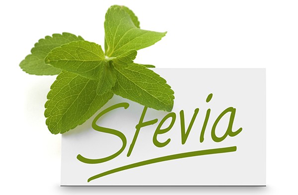 steviaweb