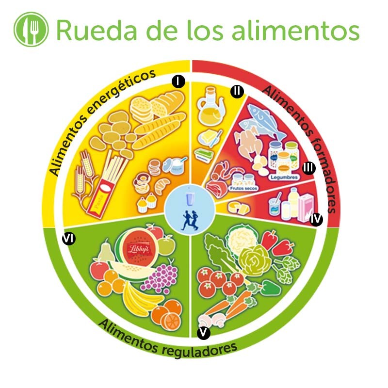 infografia rueda de los alimentos