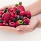 6 frutos rojos antioxidantes