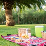 cómo preparar un picnic