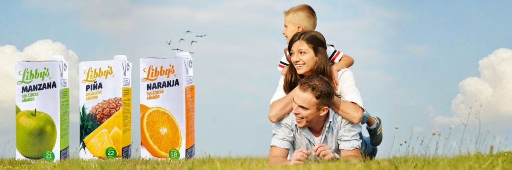 sin azucar libbys sin azucar