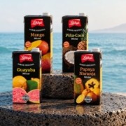 sabores tropicales