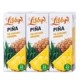 Piña sin azúcar, minibrik
